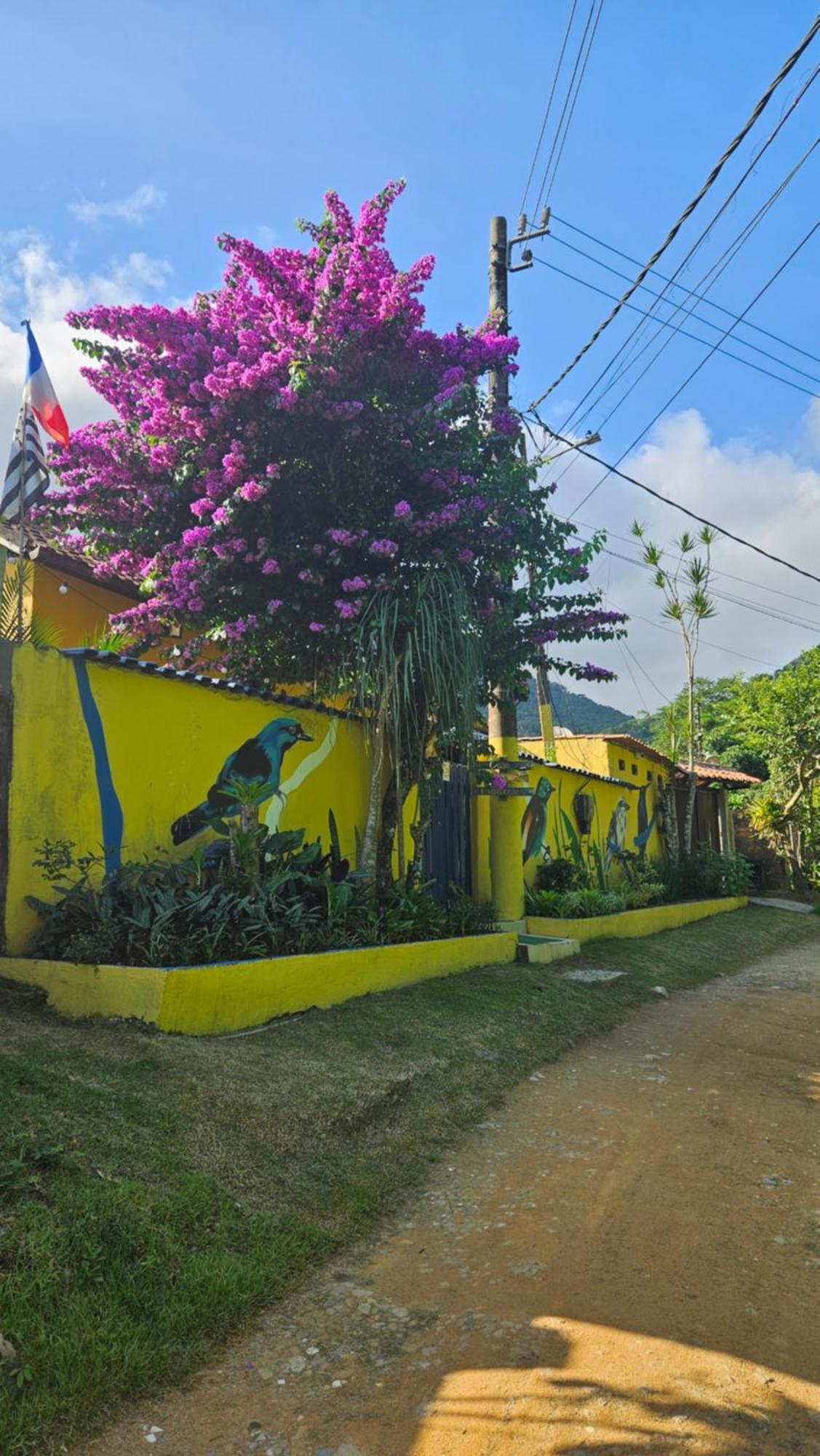 הוילה Casa Dos Franceses Ilha Grande מראה חיצוני תמונה