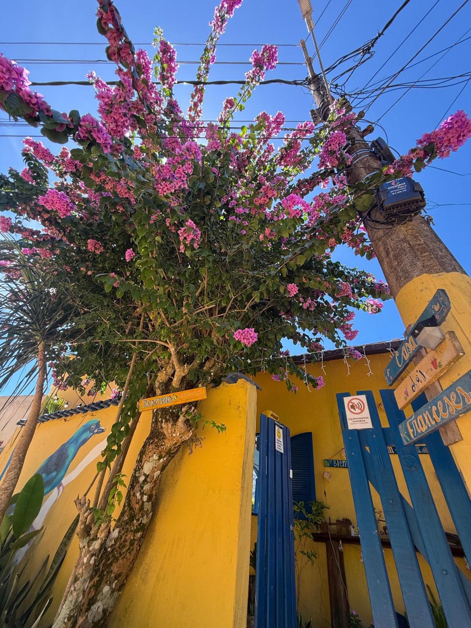 הוילה Casa Dos Franceses Ilha Grande מראה חיצוני תמונה